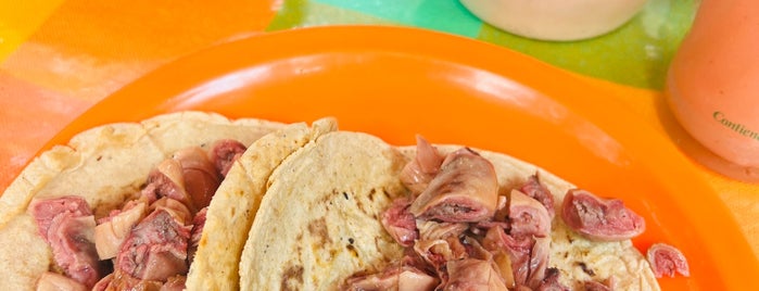 Carnitas Don Rafa is one of Tacos de conocedor.