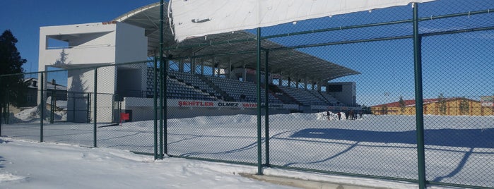 Kadınhanı ilce stadyumu is one of Lugares favoritos de Mehmet.