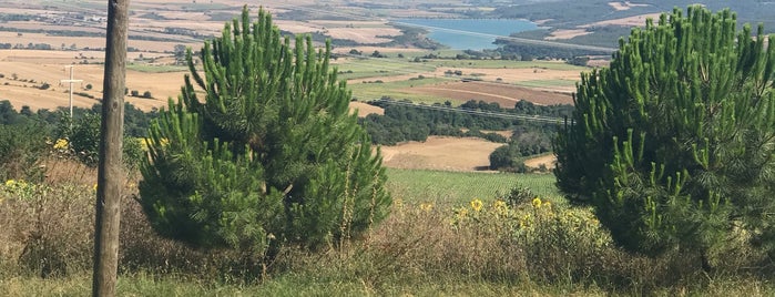 Erciyes Tekirdağ Köftecisi is one of q4.