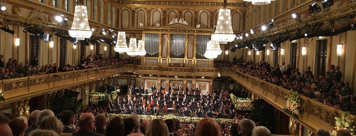 Großer Musikvereinssaal is one of Orte, die Günther gefallen.