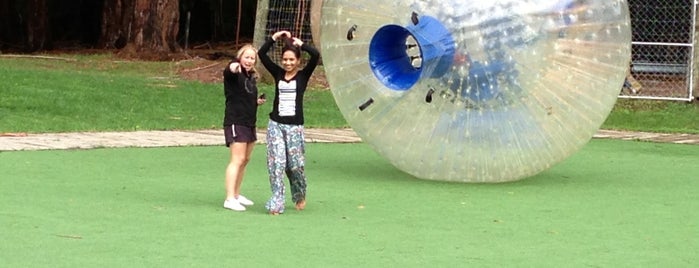 Zorb is one of All-time favorites in New Zealand.