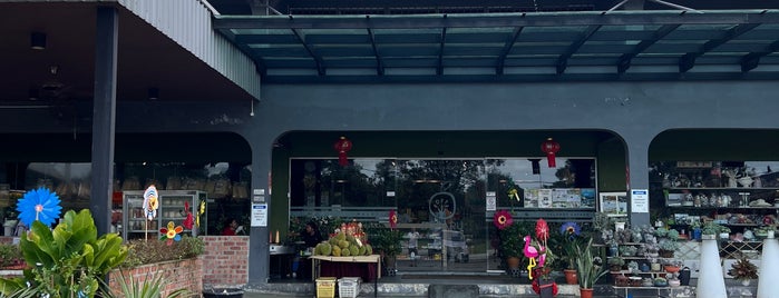 Desaru Fruit Farm is one of Jalan-jalan Johor.