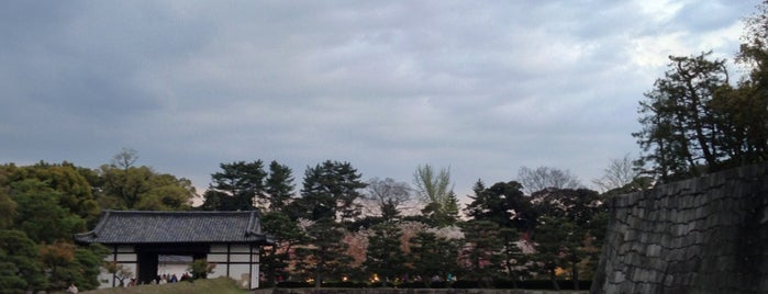 Nijo-jo Castle is one of Visiting Japan.