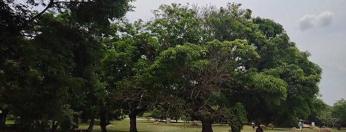Parque Nacional de Brasília is one of Lieux qui ont plu à Denise.
