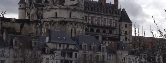 Château d'Amboise is one of Châteaux de France.