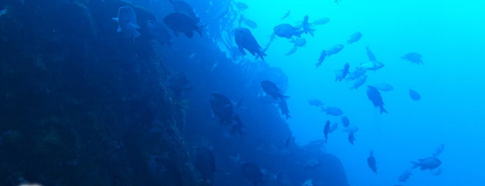 Océano Dive Center (Centro De Buceo) is one of Luisさんの保存済みスポット.