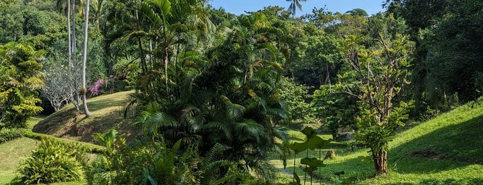 Tamarind Springs Forest Spa is one of Ko Samui.