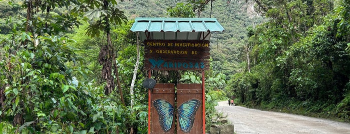Mariposario is one of PERU.