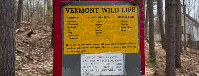 Sugarbush Farm is one of Woodstock Vermont.