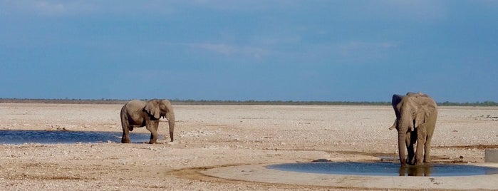 Etosha National Park is one of Jean-Françoisさんのお気に入りスポット.