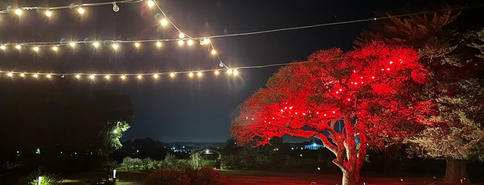 Las Liebres - Restaurante | Hotel is one of Uruguay.