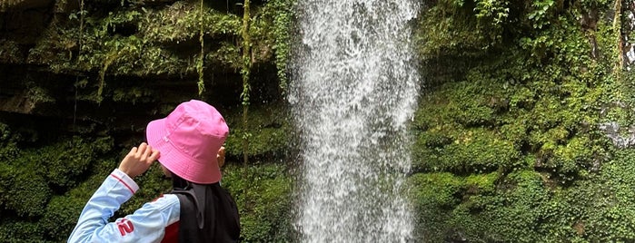 Air Terjun Mahua is one of Holiday Stay.