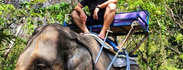 Phunaka Krabi Elephant Trekking is one of Krabi, Thailand.