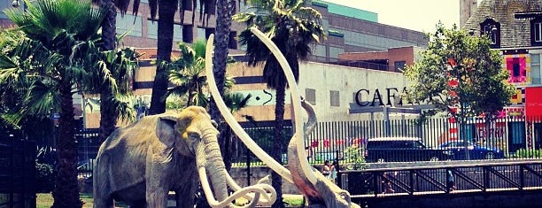 La Brea Tar Pits & Museum is one of Date Spots! Yay!.