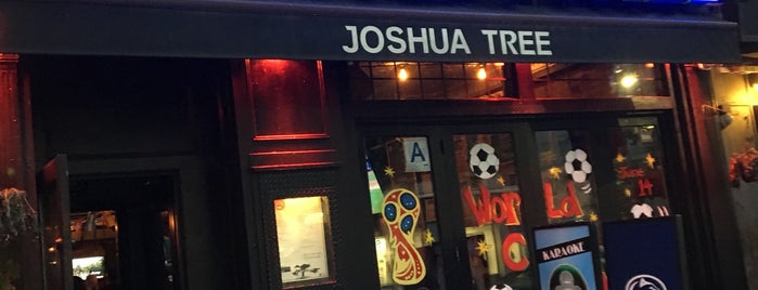 Joshua Tree is one of Interesting Bars to Try.