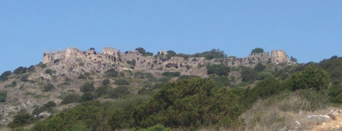 Κάστρο Ναυαρίνου is one of Peloponnes / Griechenland.