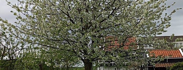 Marken is one of Mijn tours.