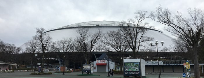 Belluna Dome is one of スタジアム.