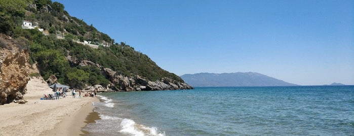 Hrisi Ammos is one of Awesome beaches of the world.