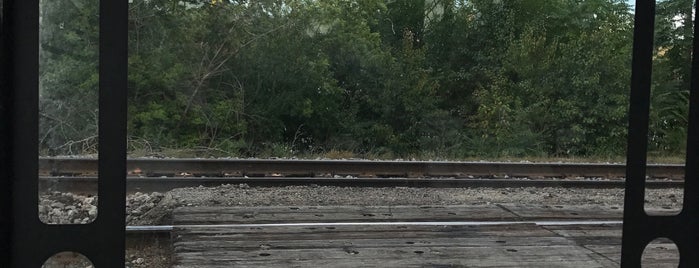 Royal Oak Amtrak Station (ROY) is one of Amtrak's Wolverine.