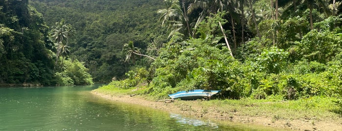 Loboc River Cruise is one of Places I've been to....