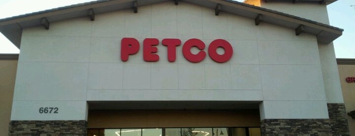 Petco is one of Fun Stuff with Kristina.