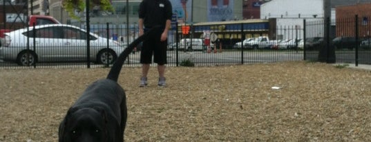 Downtown Dog Park is one of Expertise Badges.