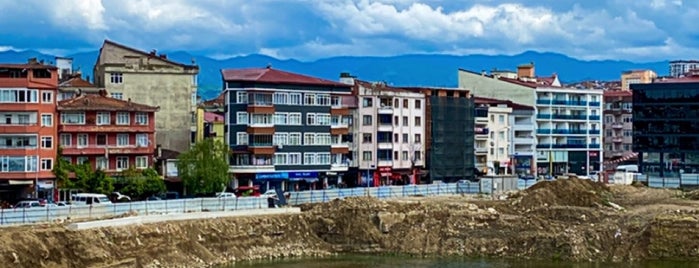 Ordu is one of Karadeniz.