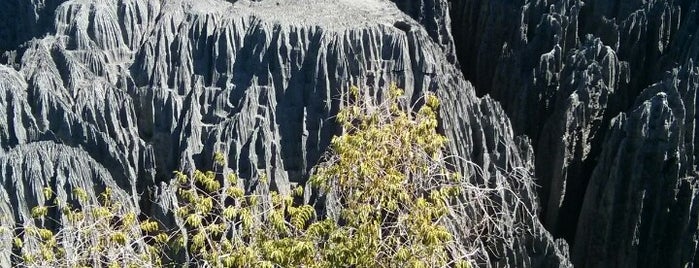 Tsingy De Bemaraha National Park is one of Lieux sauvegardés par Stacy.