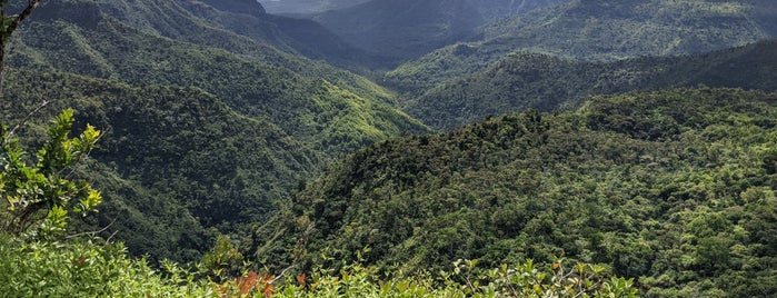 Black River Gorges National Park is one of mauritius.