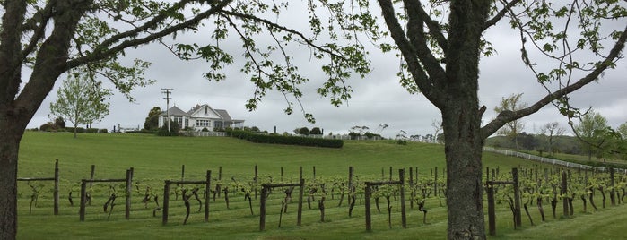 Matua Valley Wines is one of Wineries, Breweries & Tours around New Zealand.
