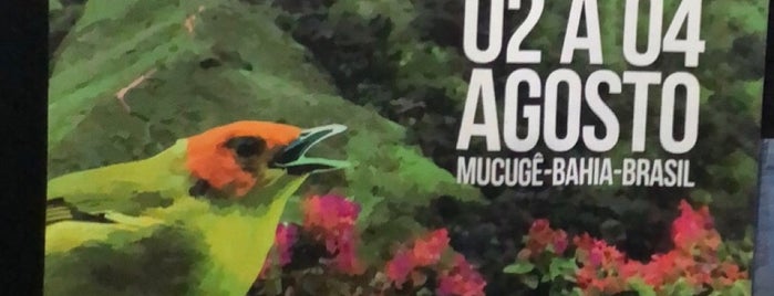 Mucugê is one of Locais curtidos por Jaqueline.