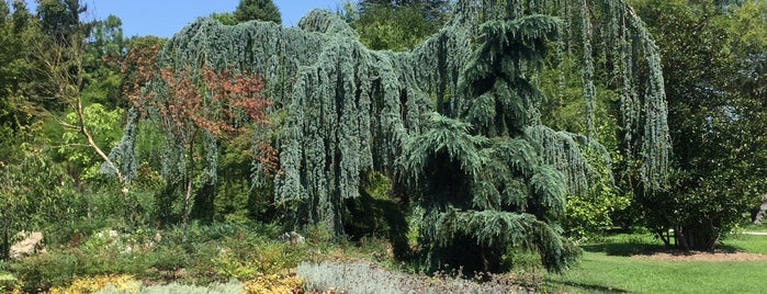Karaca  Arboretum is one of Yalova.