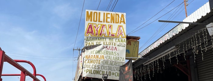 Molienda Ayala is one of Regiolandia.