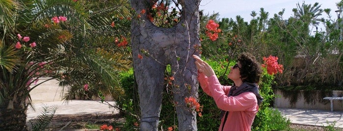 Kish Sculpture Garden | باغ مجسمه کیش is one of کیش.
