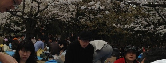 Yoyogi Park is one of Places we went with Kevin and Katie.