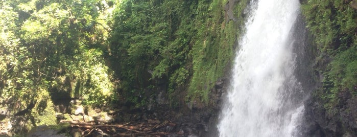 Liduduhniap Waterfall is one of Pohnpei.