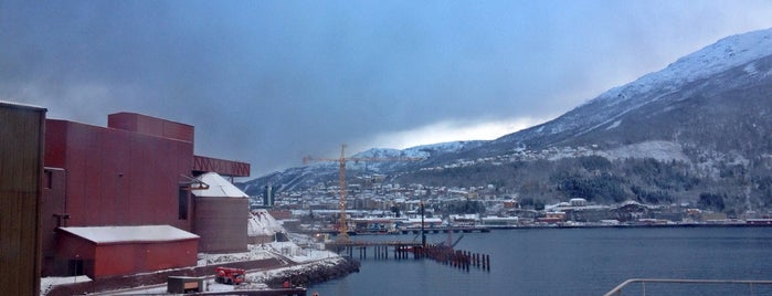 Narvik Port is one of Narvik.