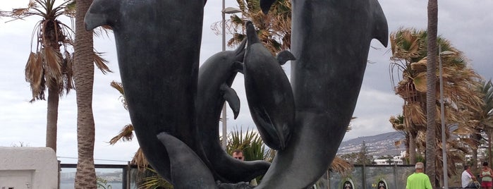 Dolphins' Sculpture is one of Tenerife.