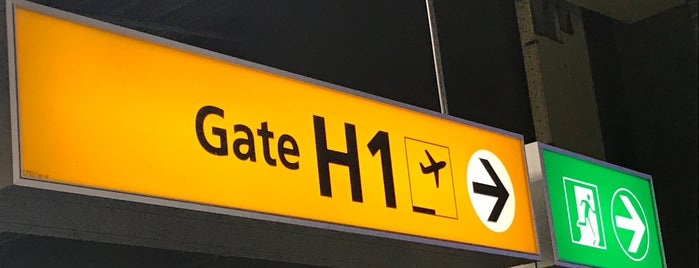 Gate H1 is one of Travel.