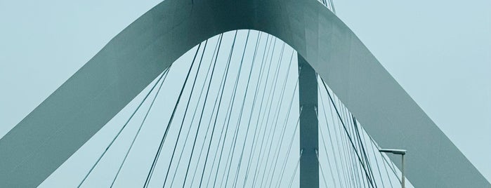 Waalbrug De Oversteek is one of Best of Nijmegen, Netherlands.