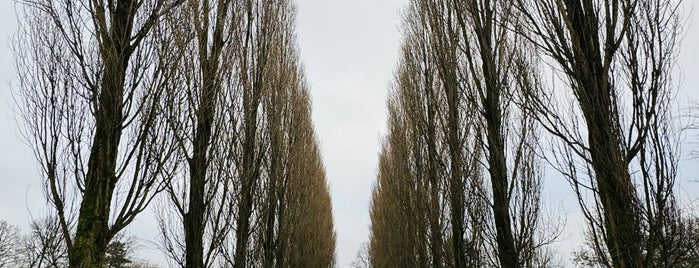 De Nieuwe Ooster Begraafplaats & Crematorium is one of Parov Stelar — Lost in Amsterdam.