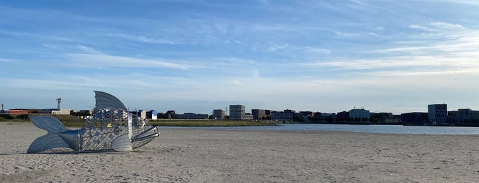 Strand IJburg is one of Amsterdam Best: Sights & shops.