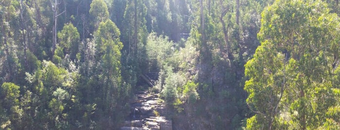 Mason Falls is one of Tempat yang Disukai Meri.