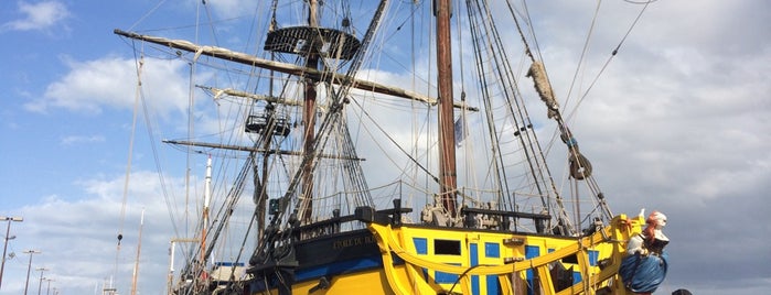 L'étoile du Roi is one of Ships (historical, sailing, original or replica).