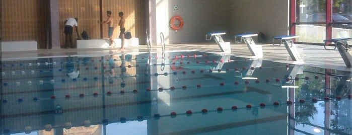 Nereus zwembad/piscine is one of Swimming.