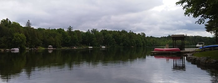 Paradise Lake east shore is one of Tempat yang Disukai Andy.