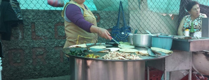 Quesadillas de Doña Berna is one of Michさんの保存済みスポット.