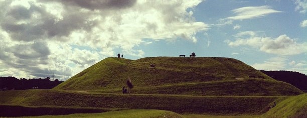 Bastion Żubr is one of Morska Ferajna.