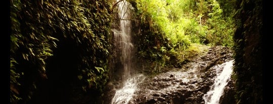 Maunawili Falls Trail is one of Nothing But Adventure.